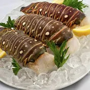 Premium 6oz Spiny Lobster Tails